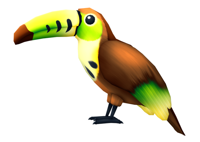 Kiwi Toucan