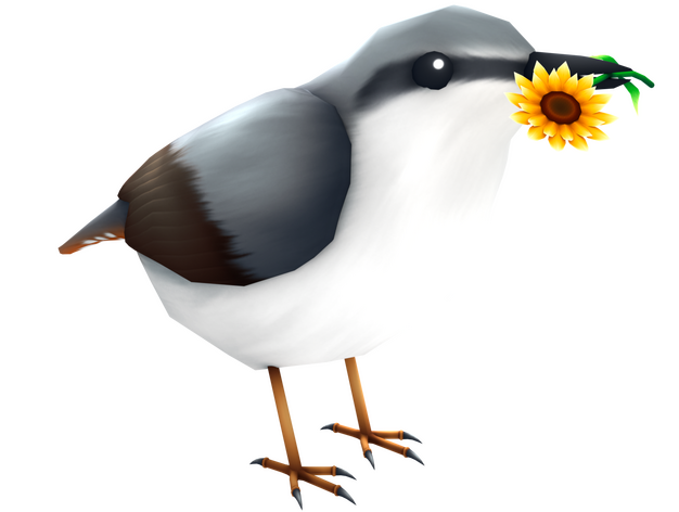 Eurasian Nuthatch Delivering a Sunflower