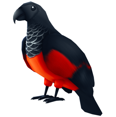 Dracula Parrot